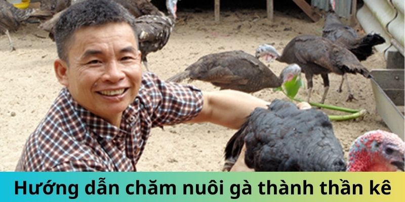 Giống Gà Nam Mỹ - Gọi Tên Những Chiến Kê Mạnh Mẽ Hàng Đầu 3 Jun88king Com - Trang Chủ Jun88.com #1 Việt Nam Hướng dẫn chăm sóc gà Nam Mỹ thành thần kê