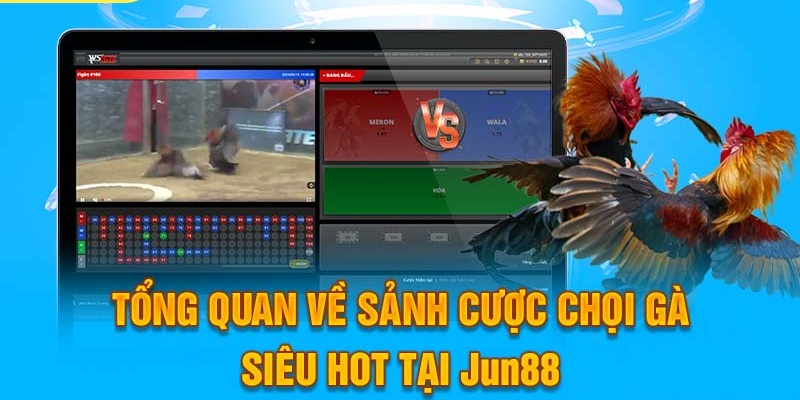 DIG Đá Gà - Sảnh Cược Chọi Gà Hấp Dẫn Hot Nhất 2024 3 Jun88king Com - Trang Chủ Jun88.com #1 Việt Nam Chất lượng phát trực tuyến đỉnh cao