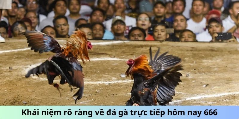 Đá Gà Trực Tiếp Hôm Nay 666 Với Các Chiến Kê Máu Lửa 1 Jun88king Com - Trang Chủ Jun88.com #1 Việt Nam Khái niệm rõ ràng về đá gà trực tiếp hôm nay 666