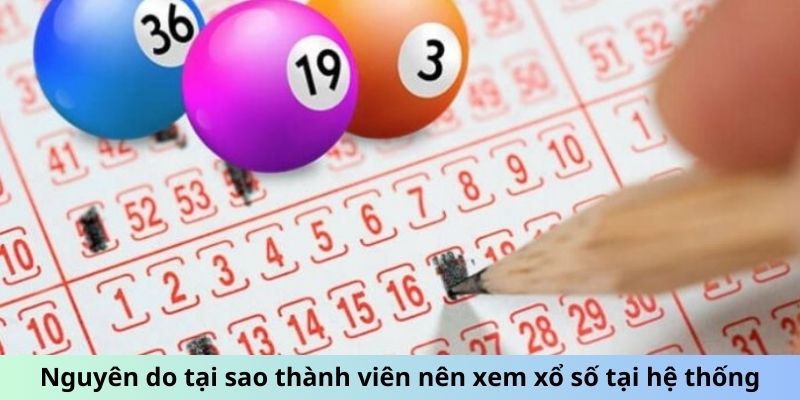 Soi Cầu 568 - Mở Khóa Bí Mật Số Học Để Chiến Thắng Lô Đề 2 Jun88king Com - Trang Chủ Jun88.com #1 Việt Nam Nguyên do tại sao thành viên nên xem xổ số tại hệ thống