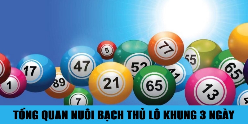 Nuôi Bạch Thủ Lô Khung 3 Ngày Đúng Chuẩn Không Lo Lỗ 1 Jun88king Com - Trang Chủ Jun88.com #1 Việt Nam Sơ lược về chiến thuật nuôi bạch thủ lô khung 3 ngày