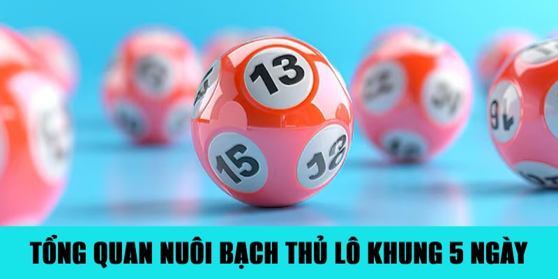 Nuôi Bạch Thủ Lô Khung 5 Ngày Đảm Bảo Ăn Đậm Tiền 1 Jun88king Com - Trang Chủ Jun88.com #1 Việt Nam Thông tin cơ bản về việc nuôi bạch thủ lô khung 5 ngày