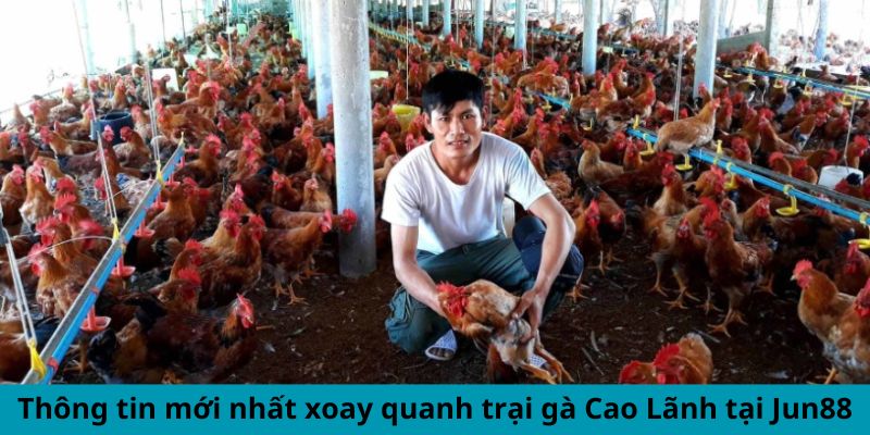 Cập Nhật Thông Tin Mới Nhất Xoay Quanh Trại Gà Cao Lãnh 1 Jun88king Com - Trang Chủ Jun88.com #1 Việt Nam Thông tin mới nhất xoay quanh trại gà Cao Lãnh tại Jun88