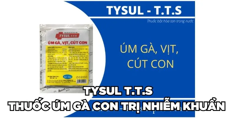 Thuốc Úm Gà Con Là Gì? Phân Loại & Cách Sử Dụng 2024 4 Jun88king Com - Trang Chủ Jun88.com #1 Việt Nam Tysul T.T.S - Thuốc úm gà con trị nhiễm khuẩn